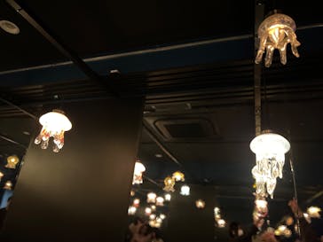 京都水族館に投稿された画像（2024/2/25）