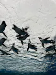 サンシャイン水族館に投稿された画像（2024/2/25）