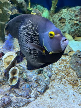 サンシャイン水族館に投稿された画像（2024/2/25）
