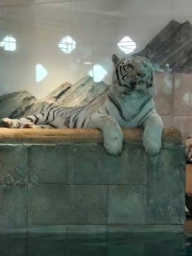 NIFREL（ニフレル）に投稿された画像（2024/2/25）