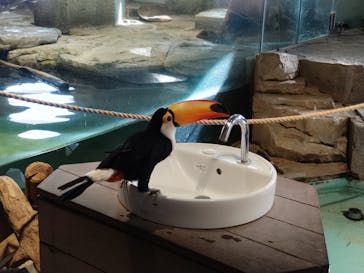 NIFREL（ニフレル）に投稿された画像（2024/2/25）