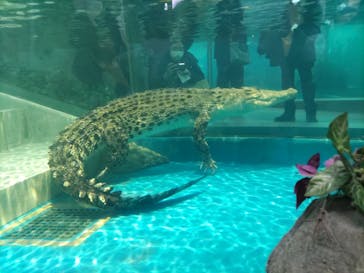 NIFREL（ニフレル）に投稿された画像（2024/2/25）