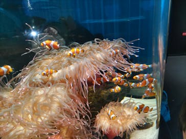 NIFREL（ニフレル）に投稿された画像（2024/2/25）