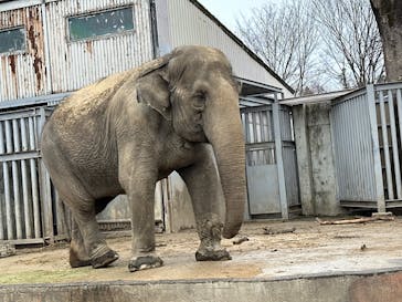 宇都宮動物園に投稿された画像（2024/2/25）