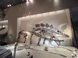 国立科学博物館に投稿された画像（2024/2/25）