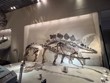 国立科学博物館に投稿された画像（2024/2/25）