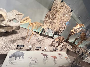 国立科学博物館に投稿された画像（2024/2/25）