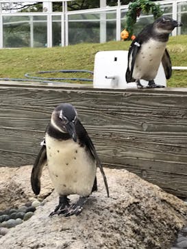 マリンワールド海の中道に投稿された画像（2022/10/30）