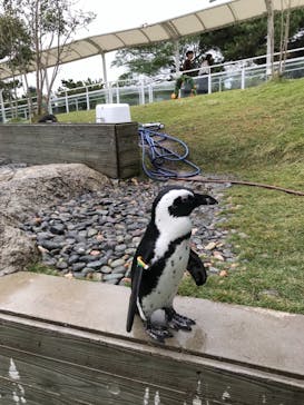 マリンワールド海の中道に投稿された画像（2022/10/30）