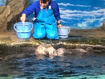 マリンワールド海の中道に投稿された画像（2022/10/30）