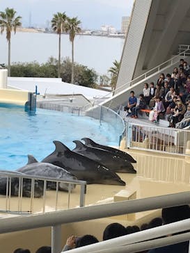 マリンワールド海の中道に投稿された画像（2022/10/30）