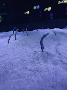 マリンワールド海の中道に投稿された画像（2022/10/30）