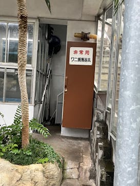 熱川バナナワニ園に投稿された画像（2024/2/25）