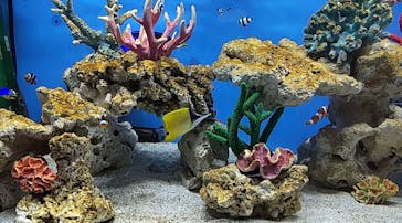 NARA KINGYO MUSEUMに投稿された画像（2024/2/25）