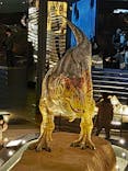 福井県立恐竜博物館に投稿された画像（2024/2/25）
