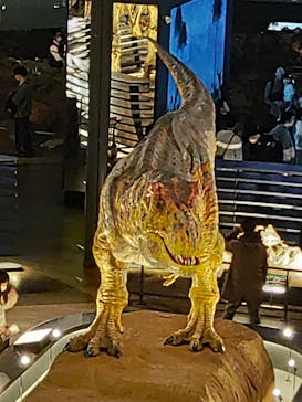 福井県立恐竜博物館に投稿された画像（2024/2/25）