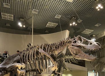 国立科学博物館に投稿された画像（2024/2/25）