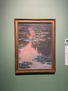 モネ　連作の情景に投稿された画像（2024/2/25）