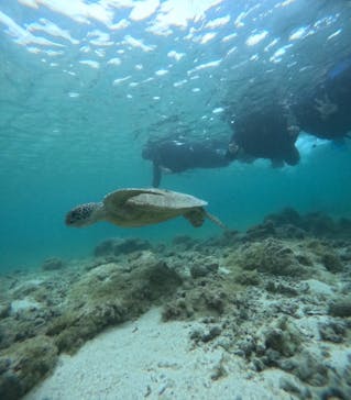 宮古島 ADVENTURE PiPi（ミヤコジマ アドベンチャー ピピ）に投稿された画像（2024/2/25）