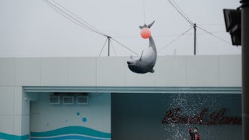 南知多ビーチランド＆南知多おもちゃ王国に投稿された画像（2024/2/25）