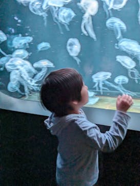 AOAO SAPPOROに投稿された画像（2024/2/25）