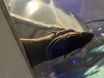 すみだ水族館に投稿された画像（2024/2/25）