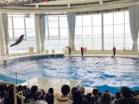 アクアワールド茨城県大洗水族館に投稿された画像（2024/2/25）