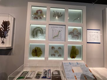 特別展「和食 ～日本の自然、人々の知恵～」に投稿された画像（2024/2/25）