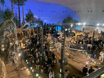 福井県立恐竜博物館に投稿された画像（2024/2/25）