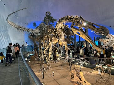 福井県立恐竜博物館に投稿された画像（2024/2/25）