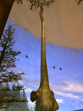 福井県立恐竜博物館に投稿された画像（2024/2/25）