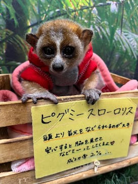 アニPONワールドに投稿された画像（2024/2/25）