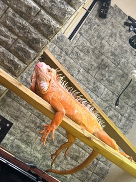 アニPONワールドに投稿された画像（2024/2/25）