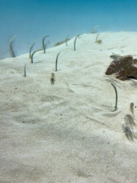 アクアワールド茨城県大洗水族館に投稿された画像（2024/2/25）