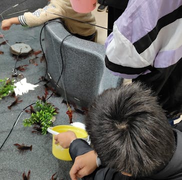 いきもの探検隊上尾に投稿された画像（2024/2/25）