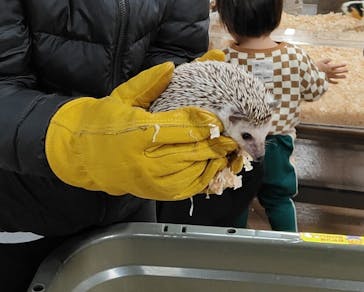 いきもの探検隊上尾に投稿された画像（2024/2/25）