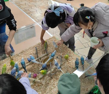 いきもの探検隊上尾に投稿された画像（2024/2/25）