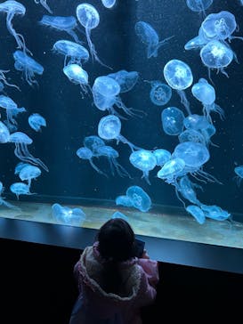 AOAO SAPPOROに投稿された画像（2024/2/25）