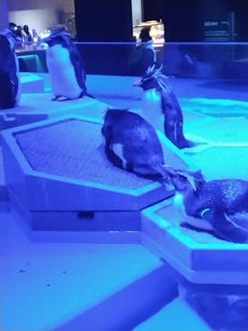 AOAO SAPPOROに投稿された画像（2024/2/25）