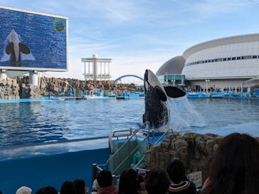 名古屋港水族館に投稿された画像（2024/2/24）