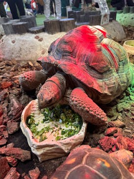 NARA IKIMONO MUSEUMに投稿された画像（2024/2/25）