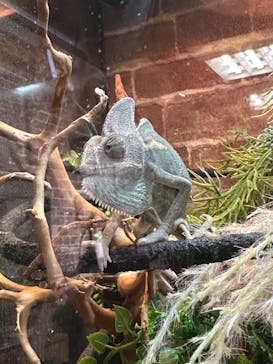 NARA IKIMONO MUSEUMに投稿された画像（2024/2/25）