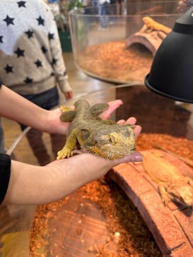 NARA IKIMONO MUSEUMに投稿された画像（2024/2/25）