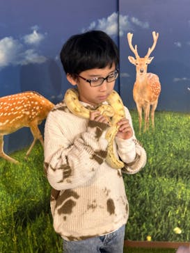 NARA IKIMONO MUSEUMに投稿された画像（2024/2/25）