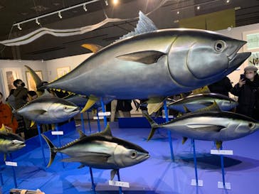 特別展「和食 ～日本の自然、人々の知恵～」に投稿された画像（2024/2/25）