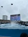 名古屋港水族館に投稿された画像（2024/2/25）