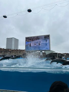 名古屋港水族館に投稿された画像（2024/2/25）