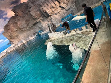 名古屋港水族館に投稿された画像（2024/2/25）