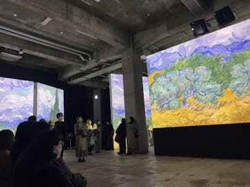 ゴッホと静物画　伝統から革新へ（SＯＭＰＯ美術館）に投稿された画像（2024/2/25）