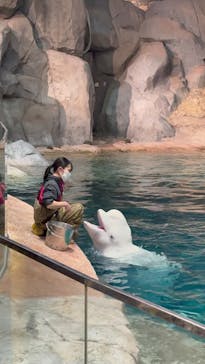 名古屋港水族館に投稿された画像（2024/2/25）